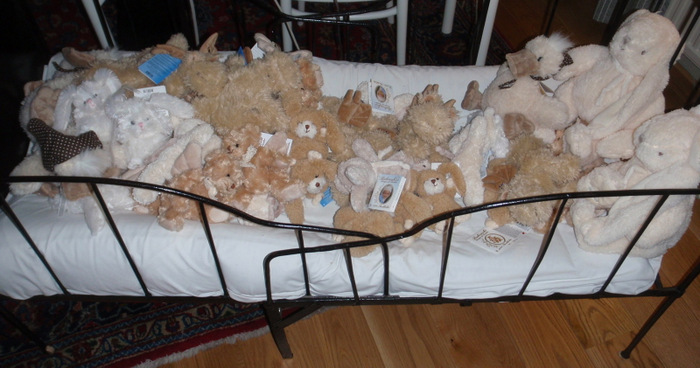 Stuffed Animal Collection.